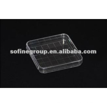 Hochwertiges Plastikquadrat Petri Dish LAB mit, Einweg-Plastik Petrischale